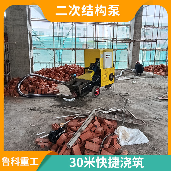 二次結(jié)構(gòu)泵上料機(jī)